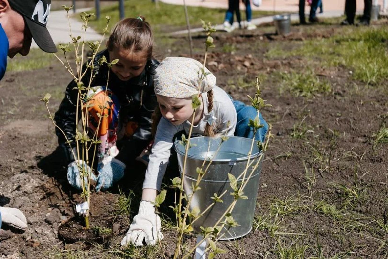 Чехов, Лес победы, благоустройство, деревья, жители, ВОВ