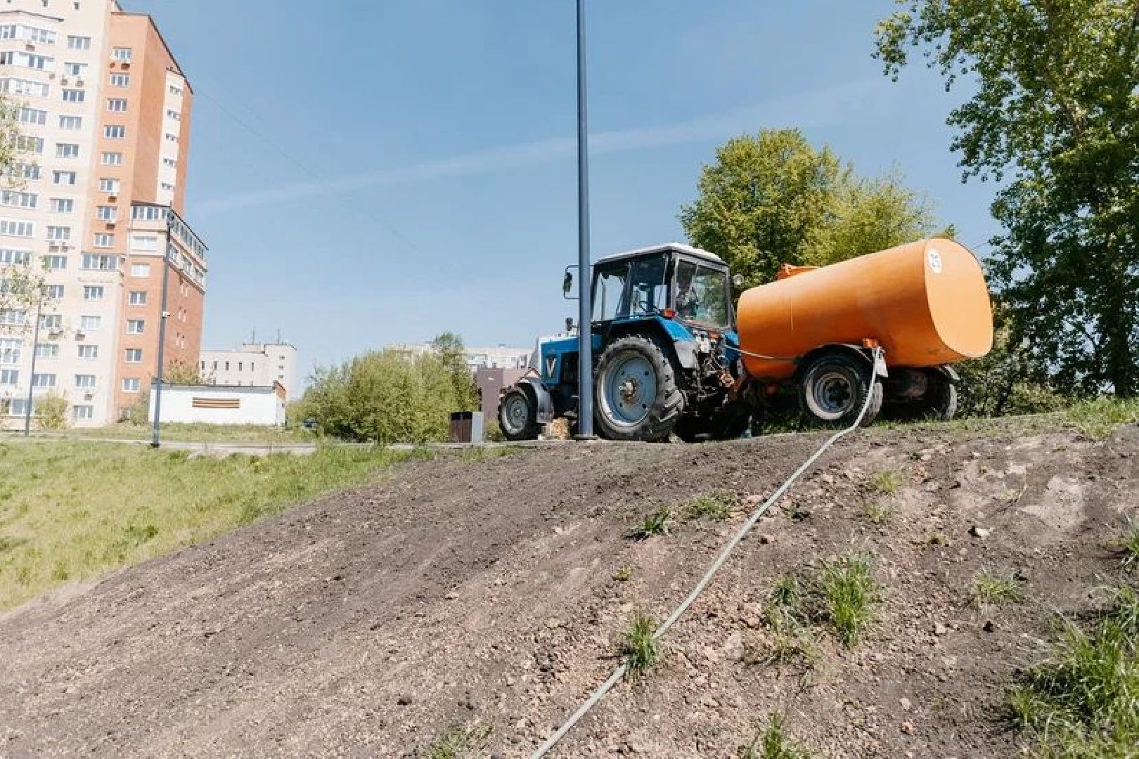 Чехов, Лес победы, благоустройство, деревья, жители, ВОВ