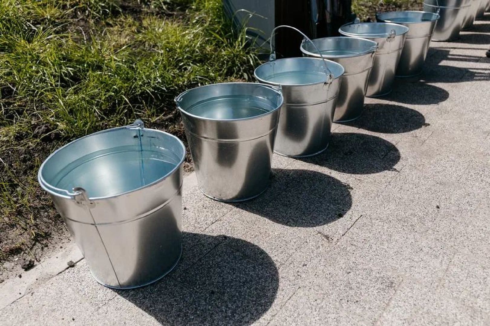 Чехов, Лес победы, благоустройство, деревья, жители, ВОВ