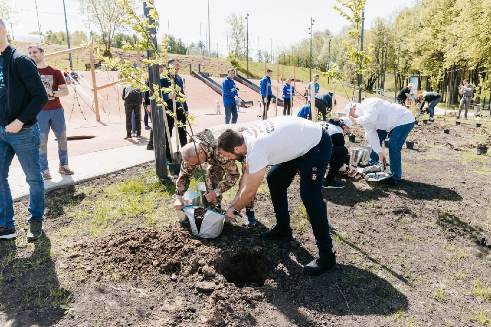 Чехов, Лес победы, благоустройство, деревья, жители, ВОВ