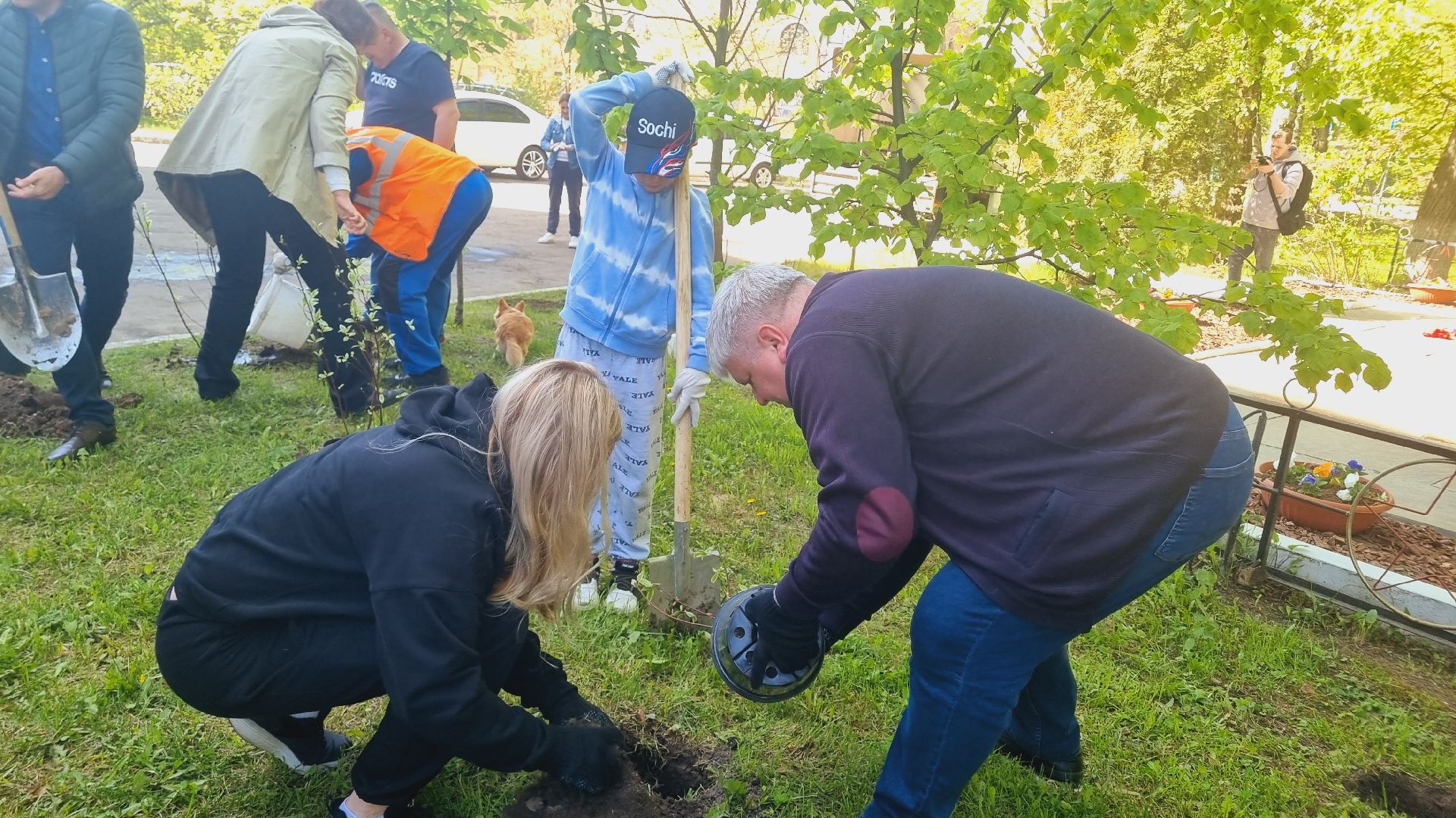 Подмосковье, Ивантеевка, лес победы,