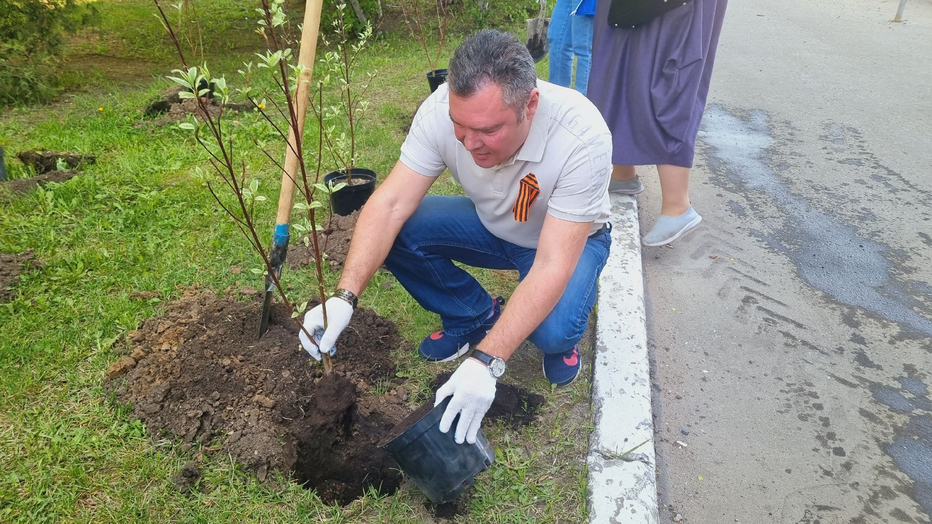 Подмосковье, Ивантеевка, лес победы,