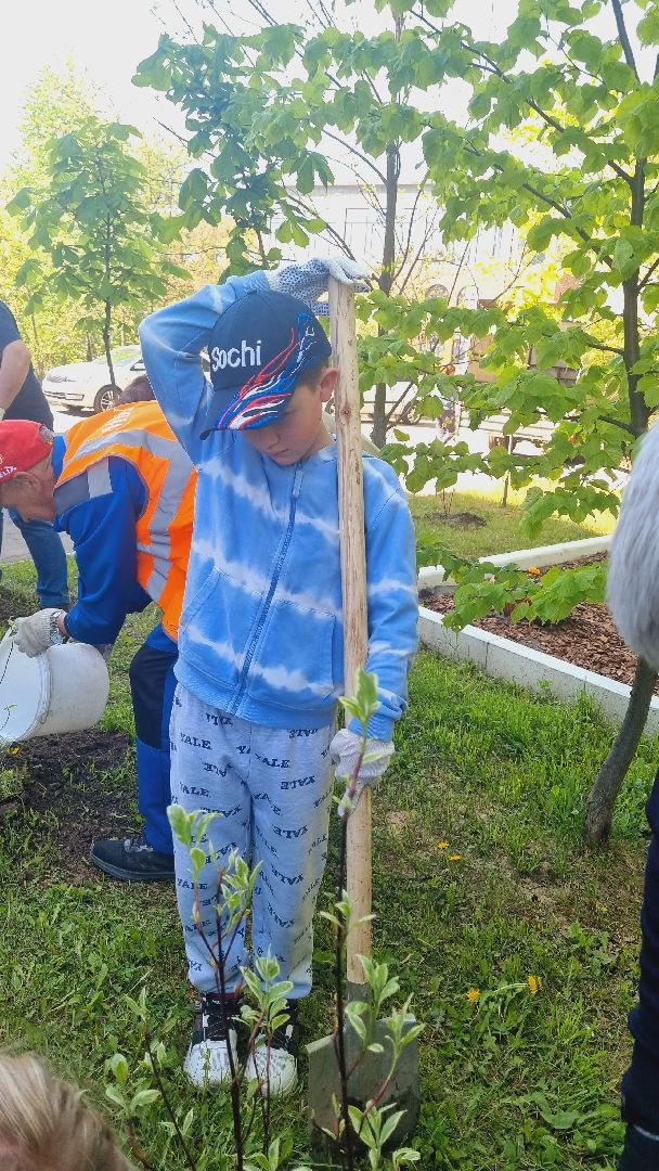 Подмосковье, Ивантеевка, лес победы,