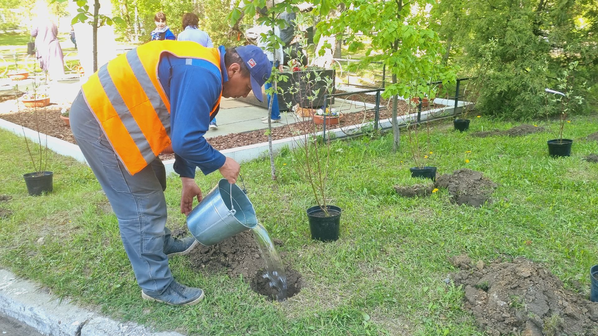 Подмосковье, Ивантеевка, лес победы,