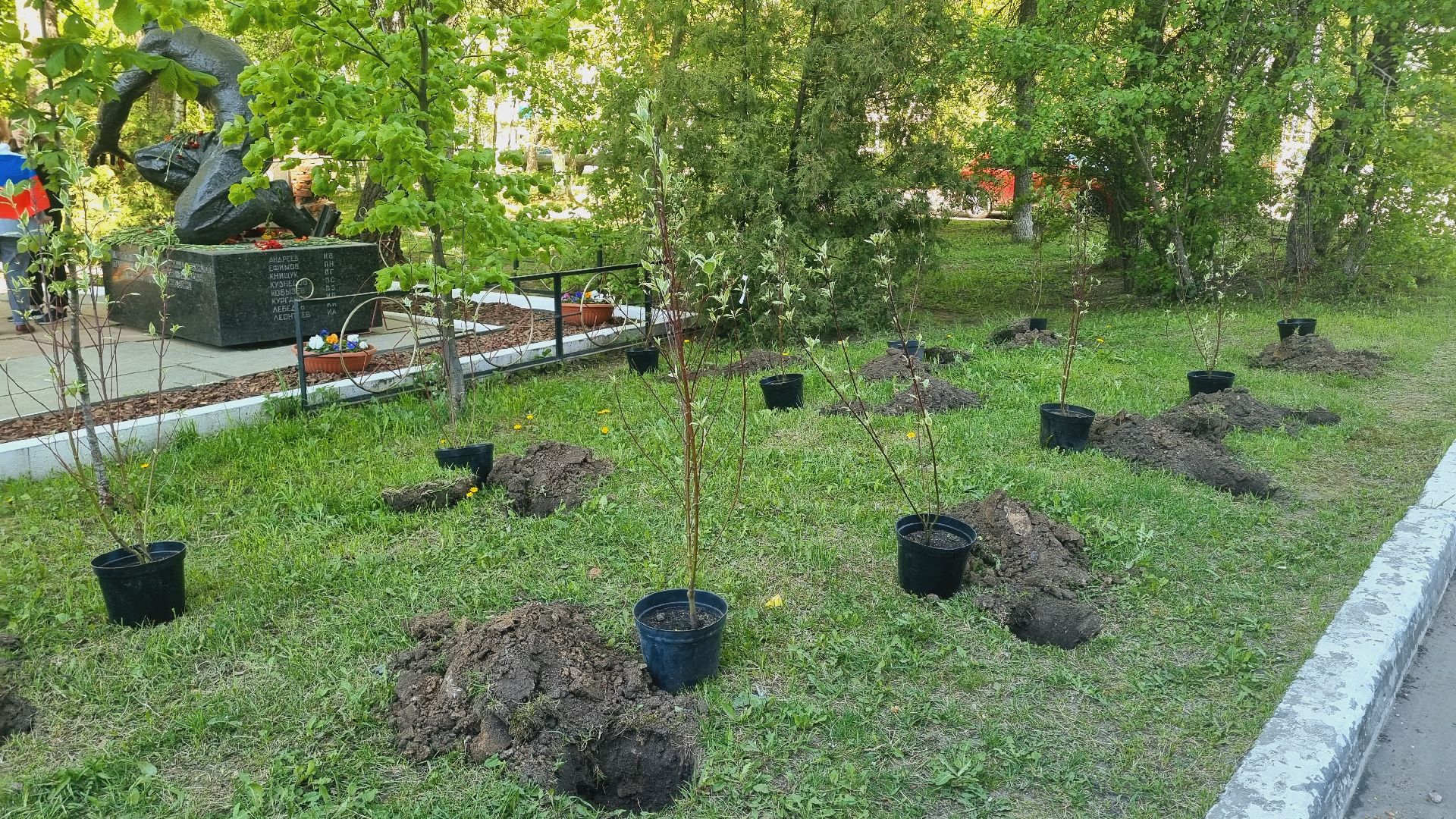 Подмосковье, Ивантеевка, лес победы,