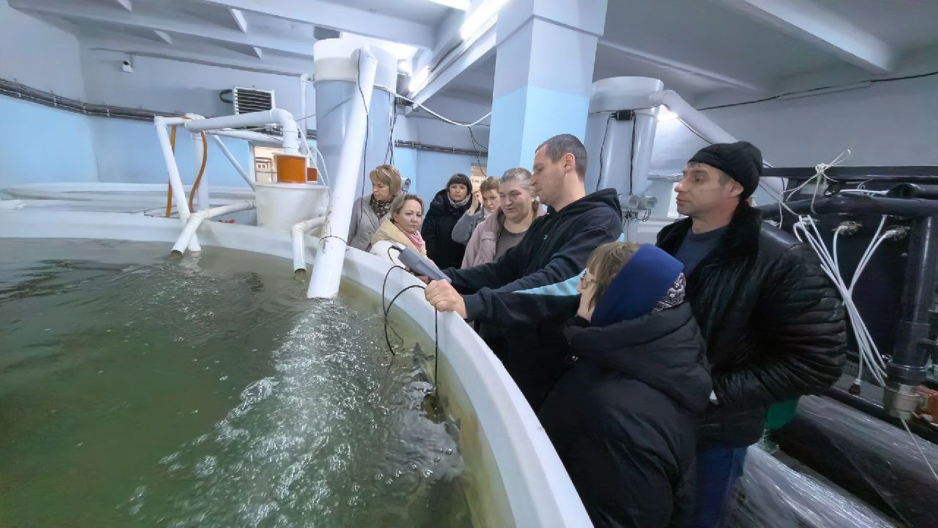 серебряные пруды, промышленный туризм, агротуризм, голд фиш, осетровая ферма, ассоциация ветеранов сво серебряные пруды,