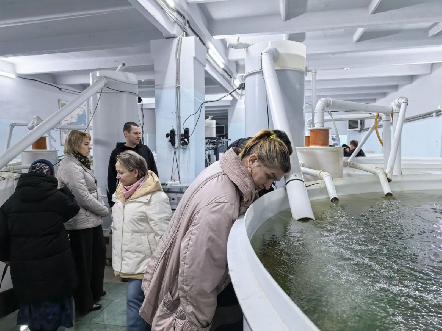 серебряные пруды, промышленный туризм, агротуризм, голд фиш, осетровая ферма, ассоциация ветеранов сво серебряные пруды,