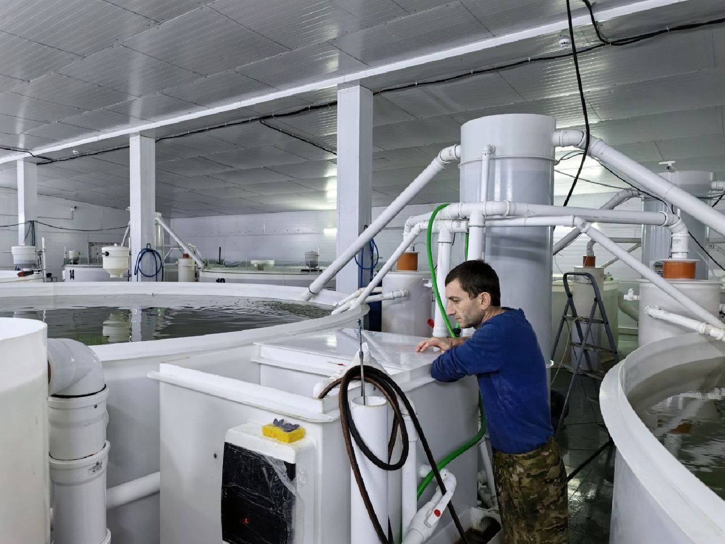 серебряные пруды, промышленный туризм, агротуризм, голд фиш, осетровая ферма, ассоциация ветеранов сво серебряные пруды,