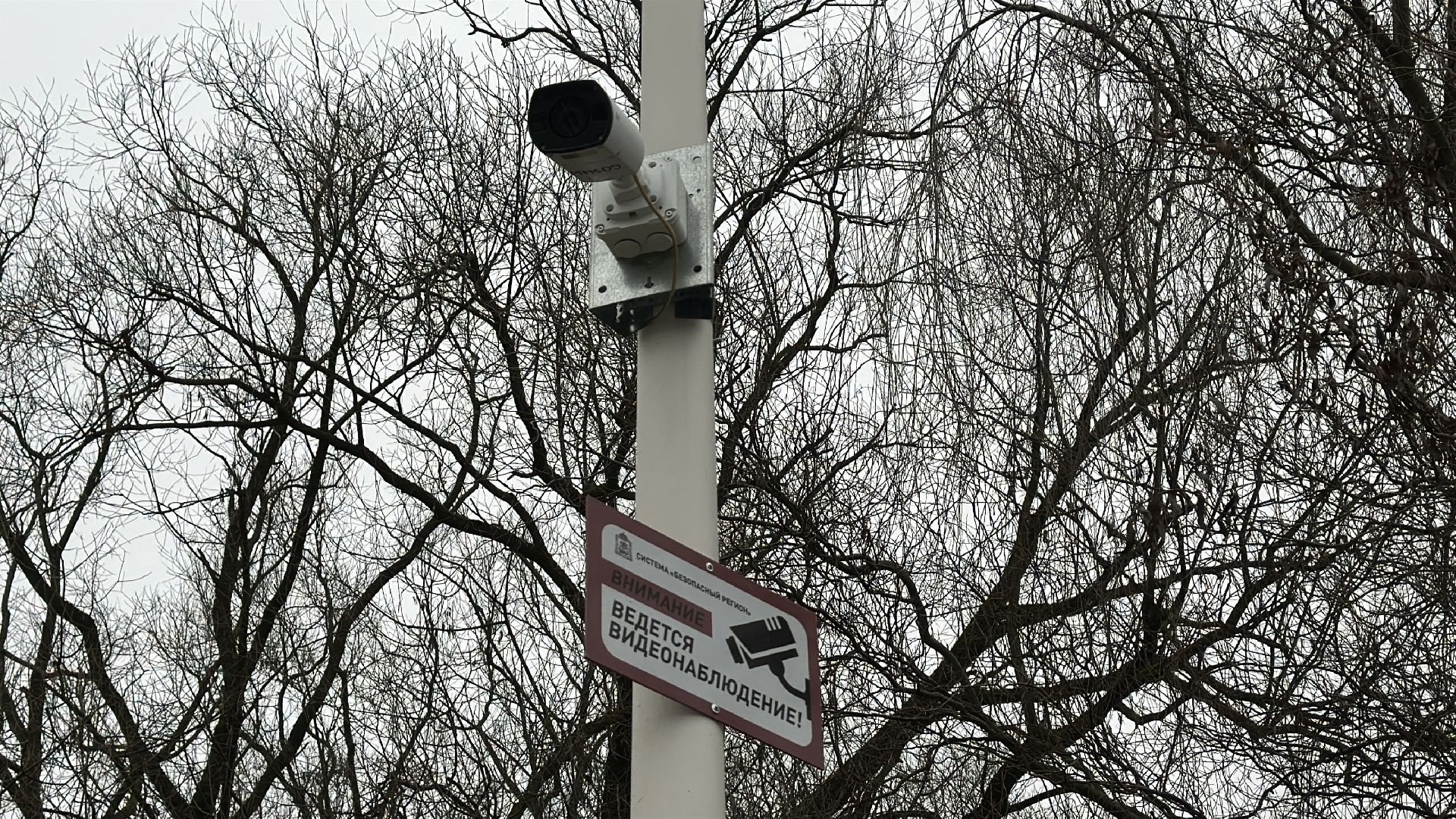 благоуйстройство, травинское озеро, травинская набережная, пушкинский городской округ, пушкино, мнение жителей,