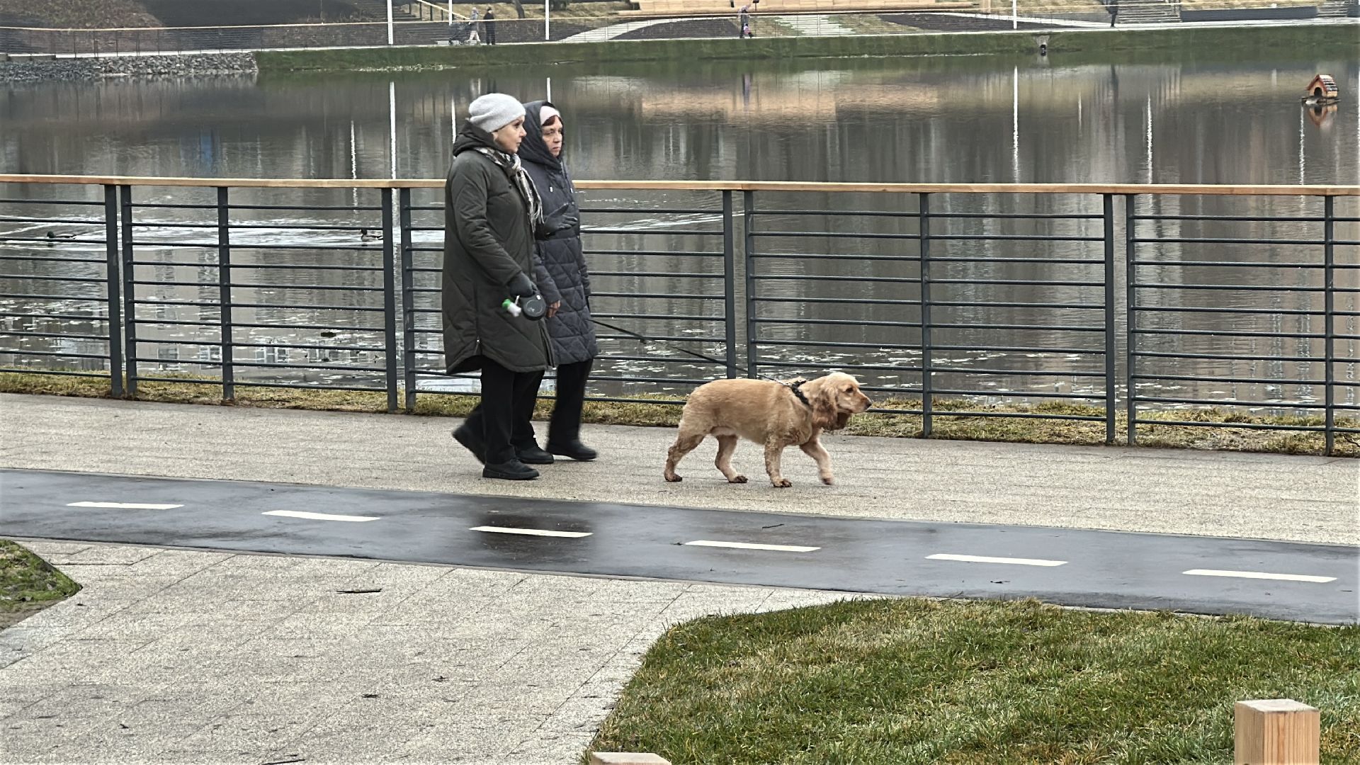 благоуйстройство, травинское озеро, травинская набережная, пушкинский городской округ, пушкино, мнение жителей,