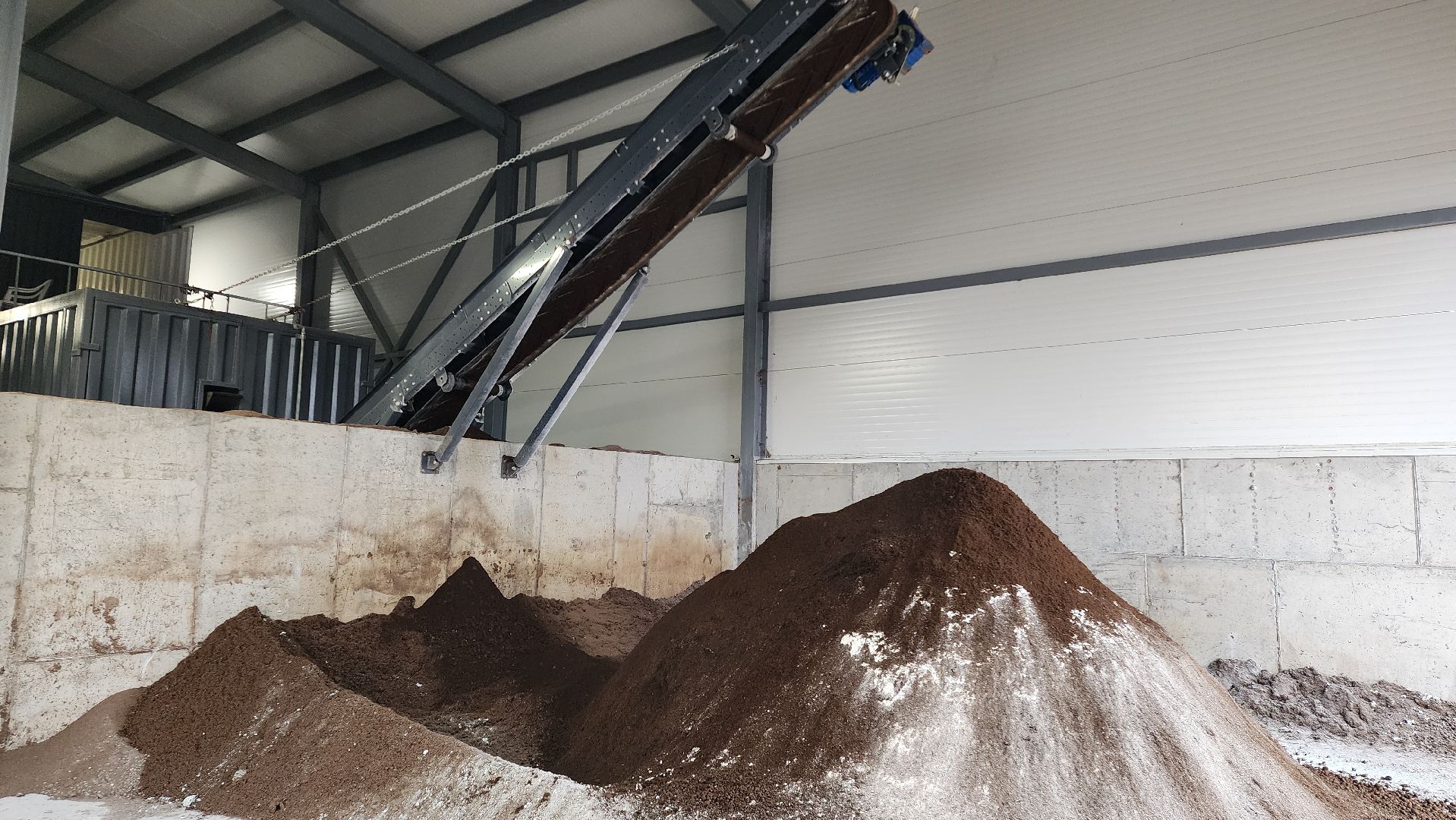 завод,  ферма, повадино, косино, барыбино, племзавод, племенной завод, домодедово,подмосковье,