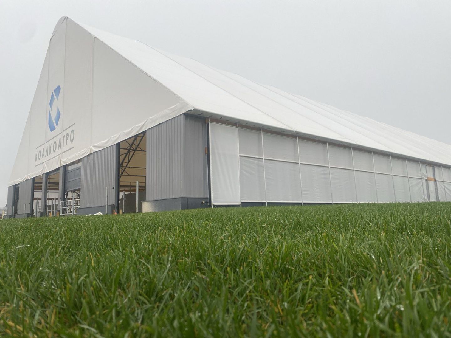 завод,  ферма, повадино, косино, барыбино, племзавод, племенной завод, домодедово,подмосковье,