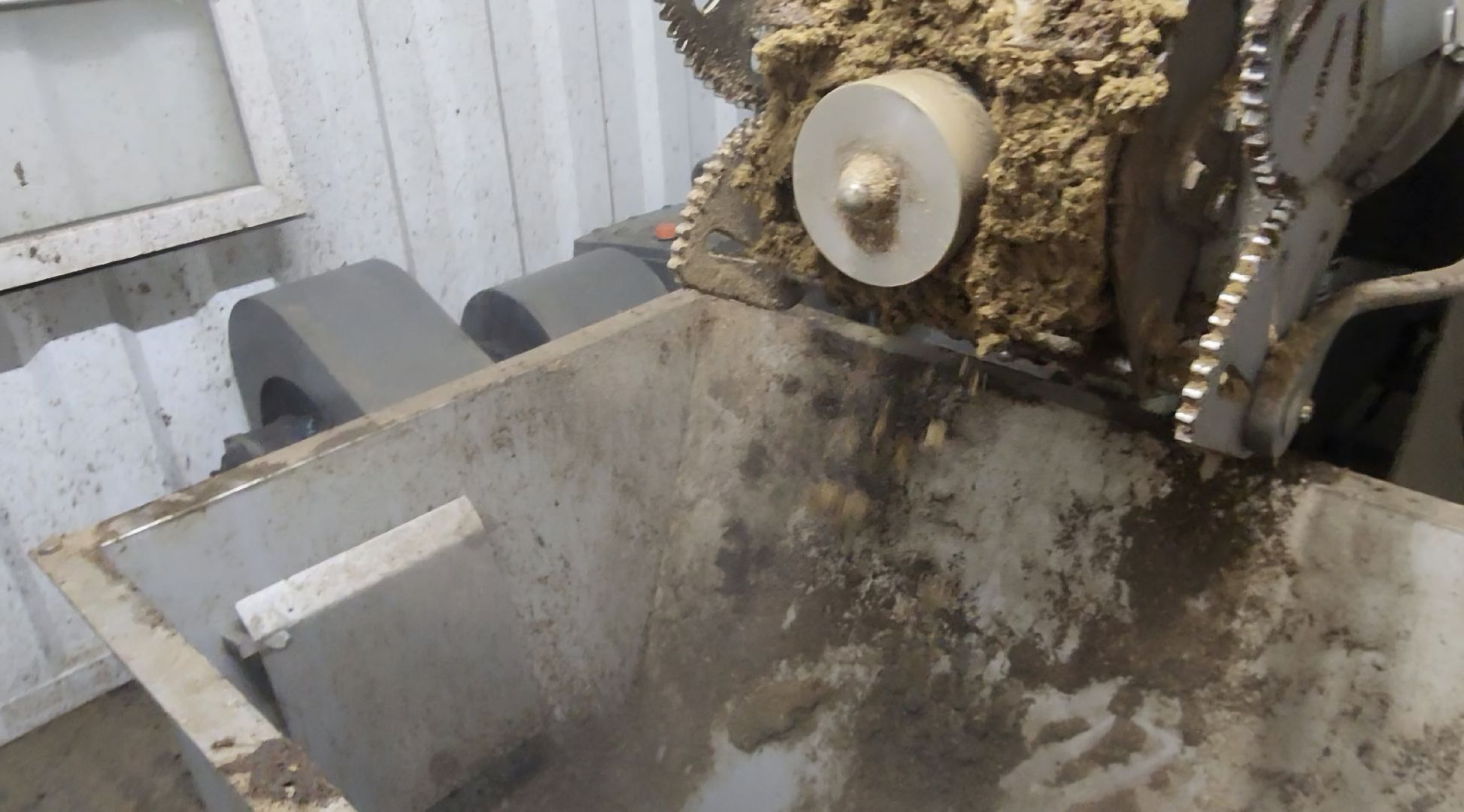 завод,  ферма, повадино, косино, барыбино, племзавод, племенной завод, домодедово,подмосковье,