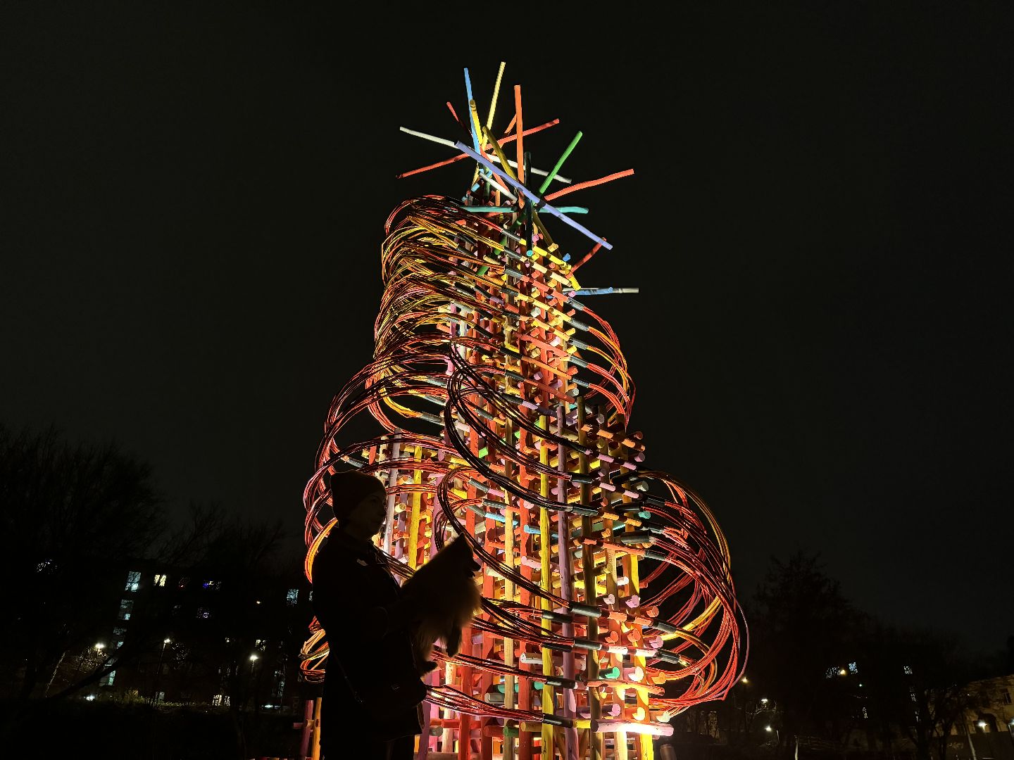 елка, тарычевский пруд, брусника, ленинский городской округ, новогоднее оформление,