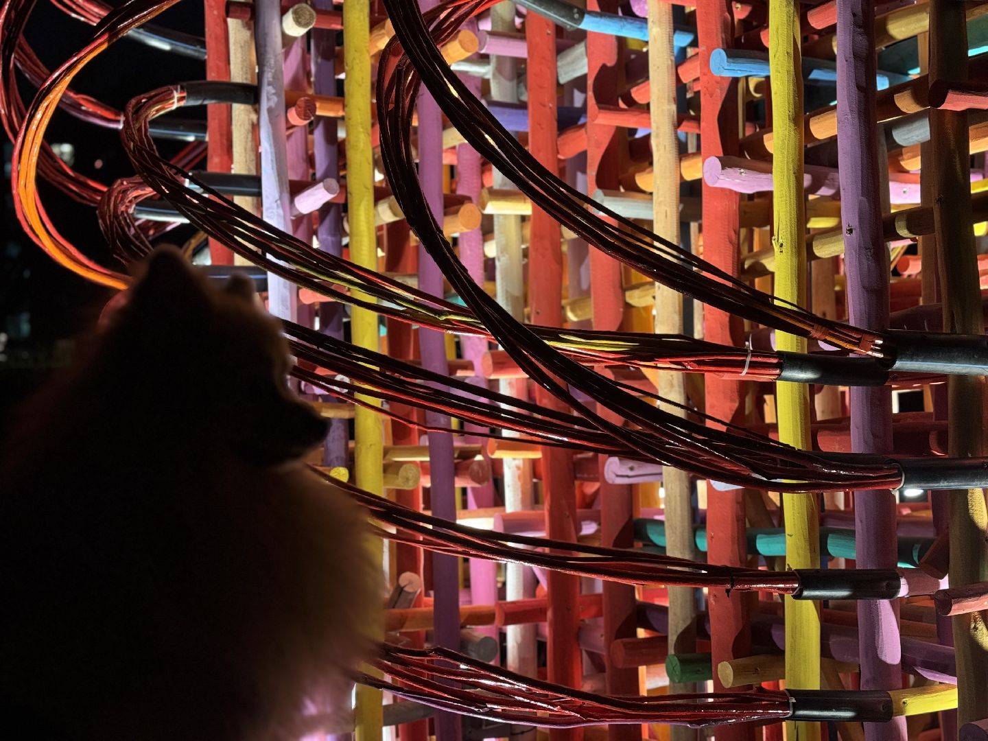 елка, тарычевский пруд, брусника, ленинский городской округ, новогоднее оформление,