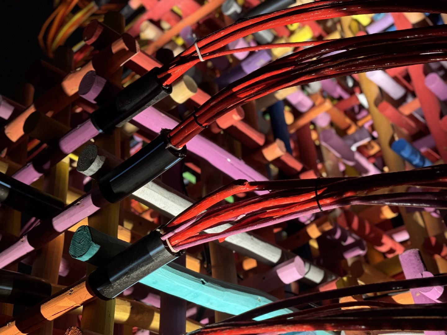 елка, тарычевский пруд, брусника, ленинский городской округ, новогоднее оформление,