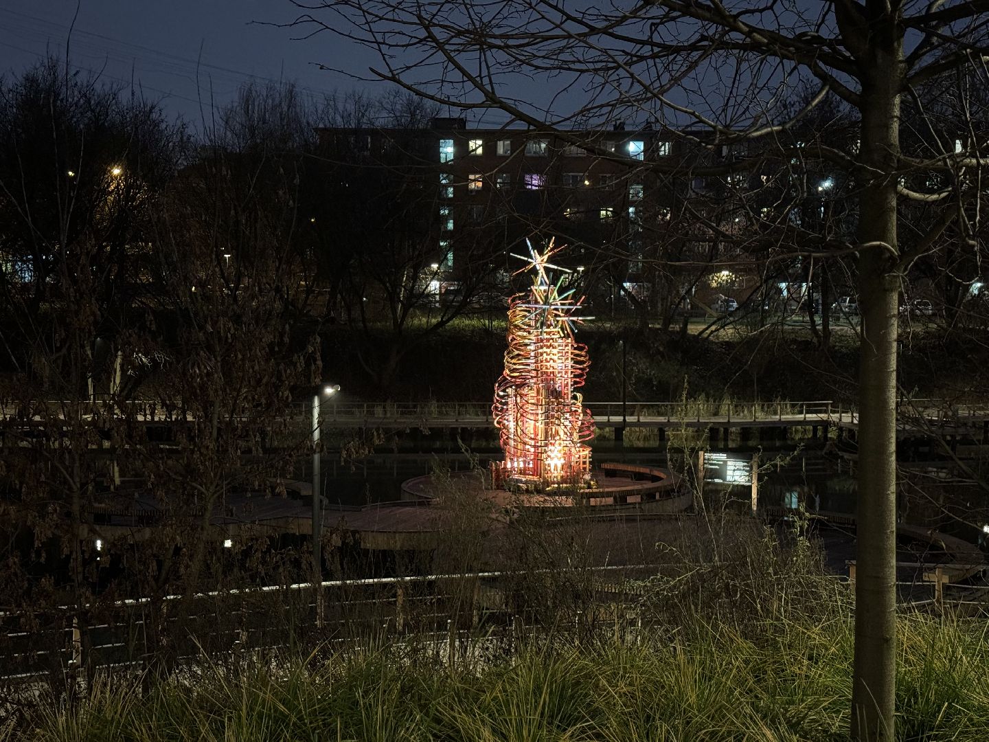 елка, тарычевский пруд, брусника, ленинский городской округ, новогоднее оформление,