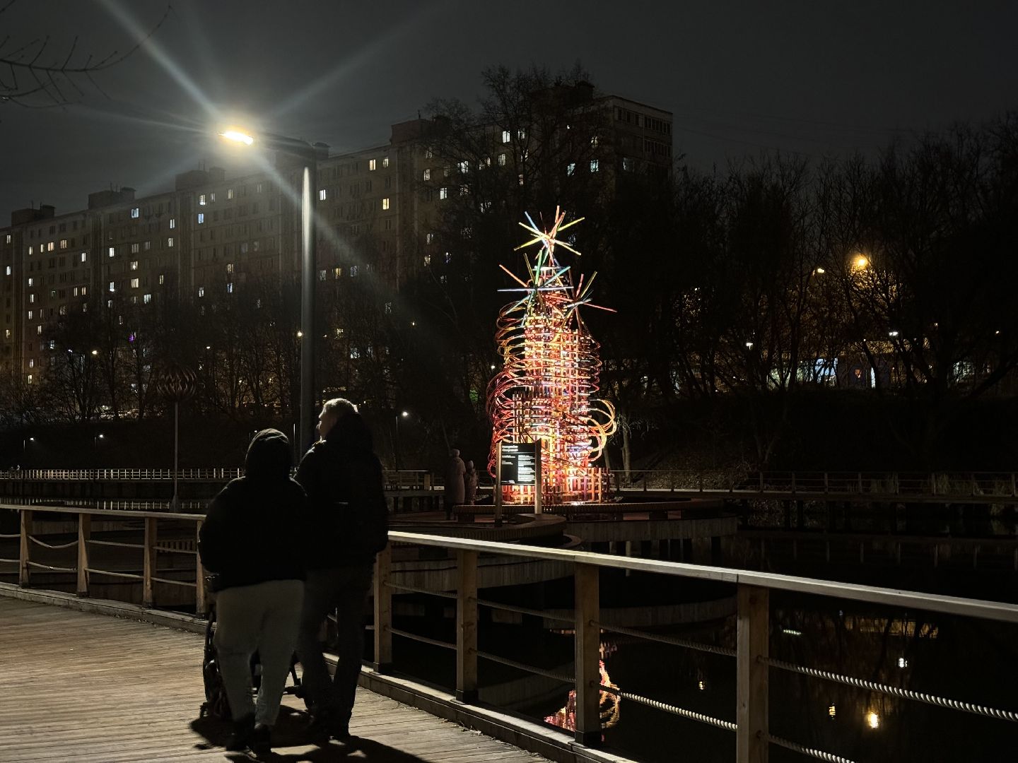 елка, тарычевский пруд, брусника, ленинский городской округ, новогоднее оформление,