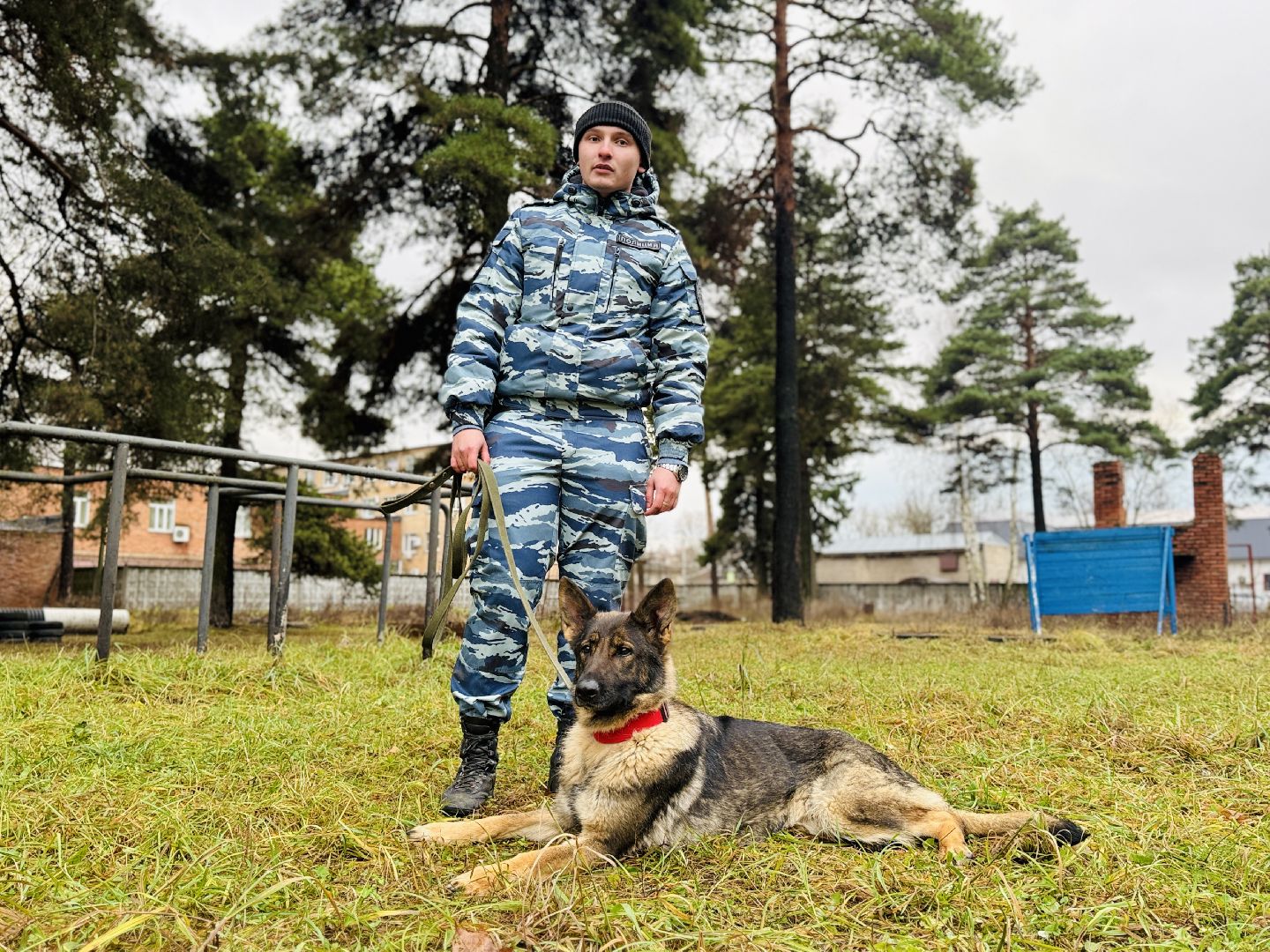 раменское, кинологи, служебные собаки, служебная собака, полиция, полицейские,