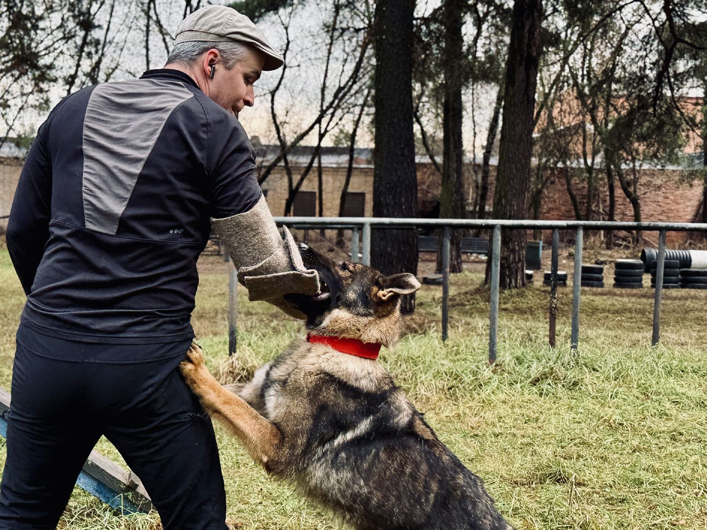 раменское, кинологи, служебные собаки, служебная собака, полиция, полицейские,