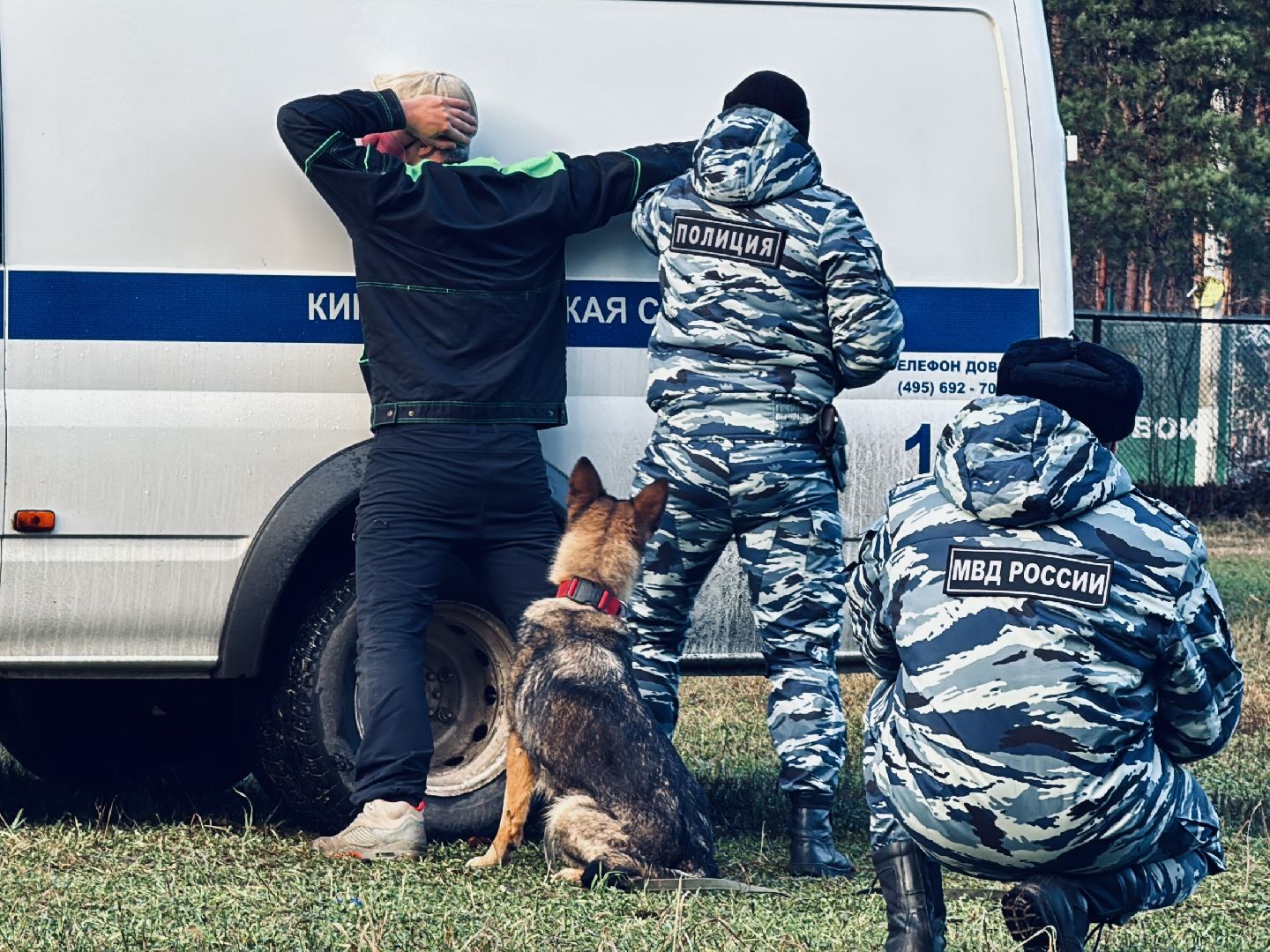 раменское, кинологи, служебные собаки, служебная собака, полиция, полицейские,
