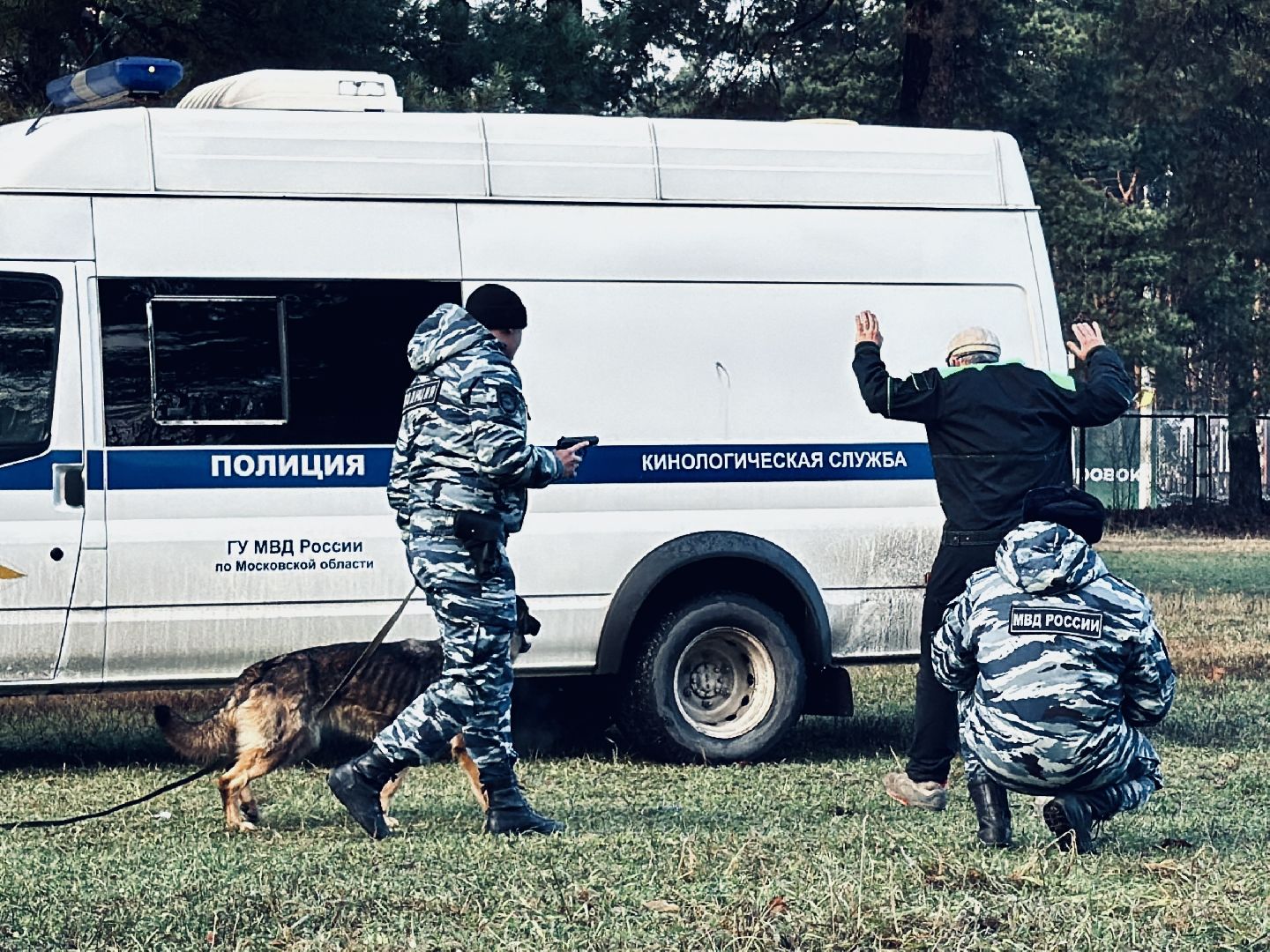 раменское, кинологи, служебные собаки, служебная собака, полиция, полицейские,