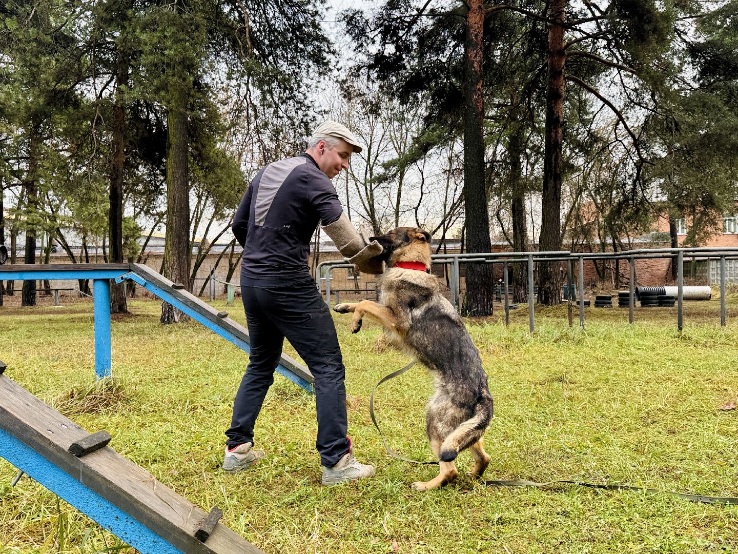 раменское, кинологи, служебные собаки, служебная собака, полиция, полицейские,