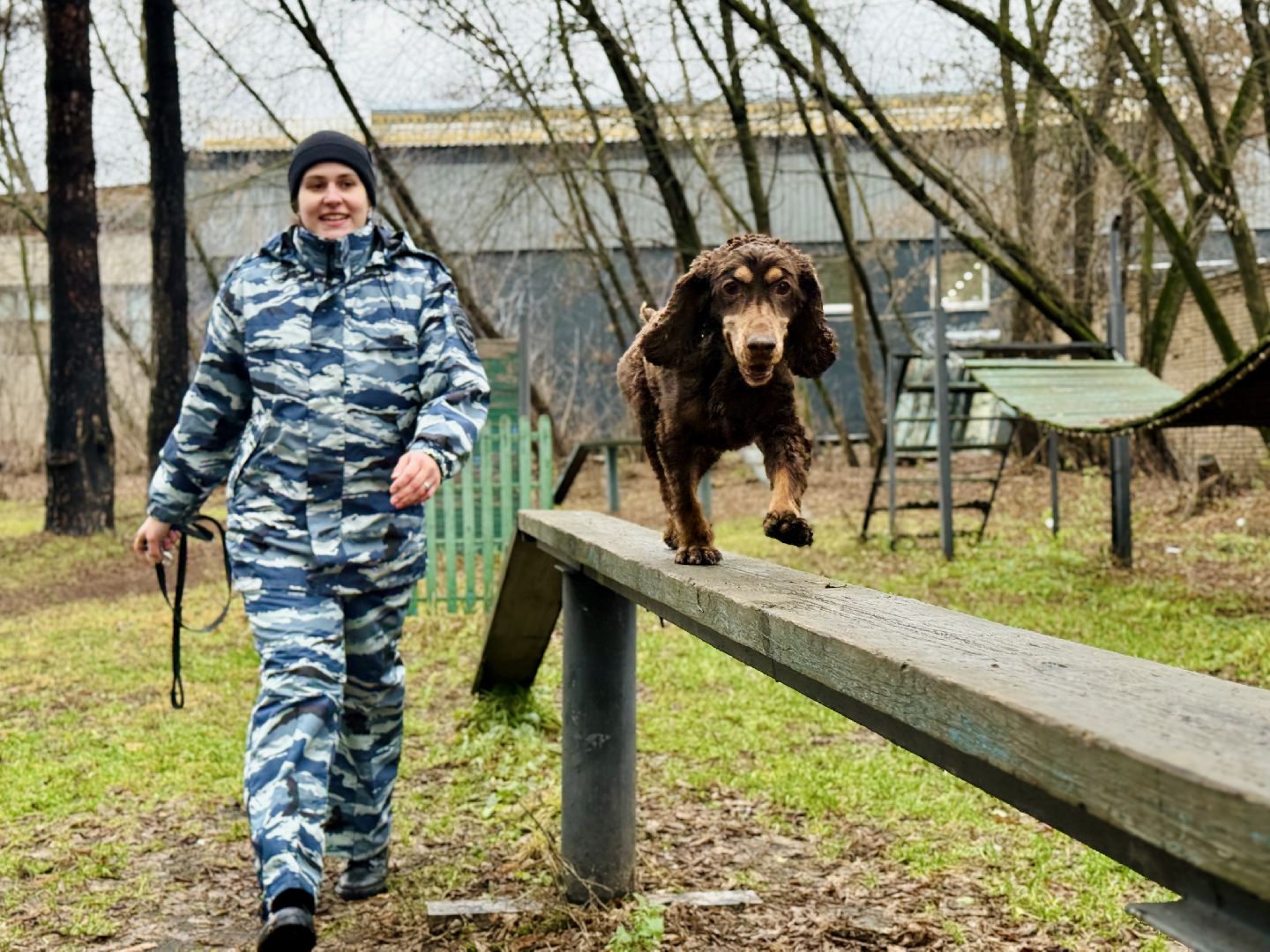 раменское, кинологи, служебные собаки, служебная собака, полиция, полицейские,