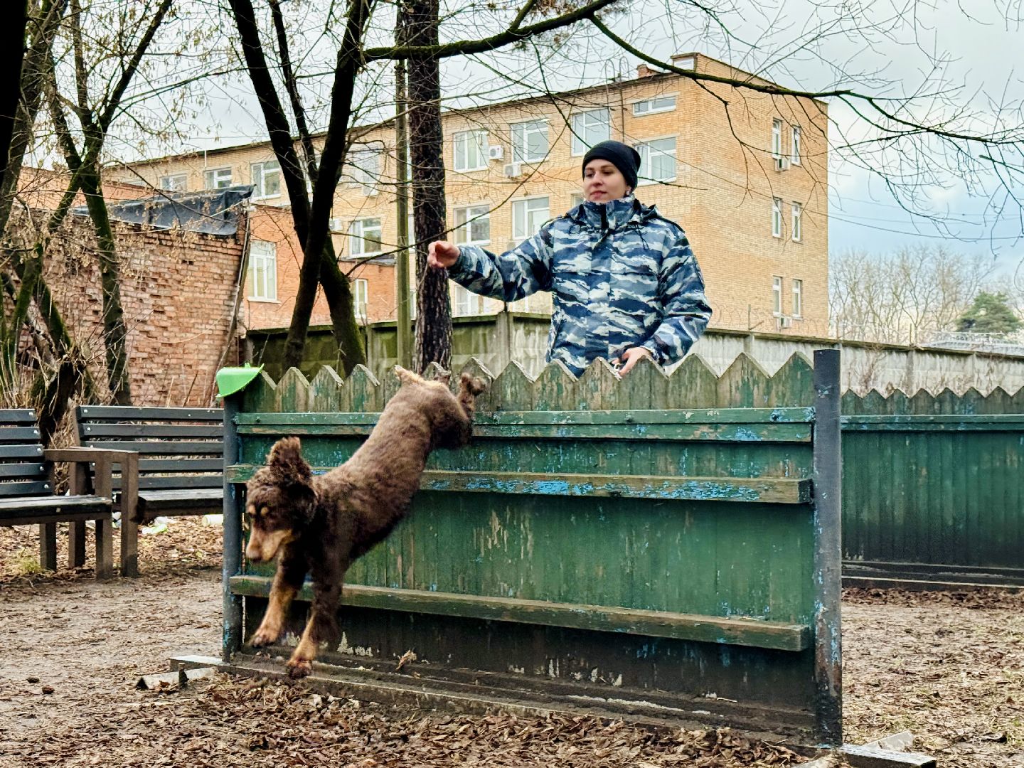 раменское, кинологи, служебные собаки, служебная собака, полиция, полицейские,
