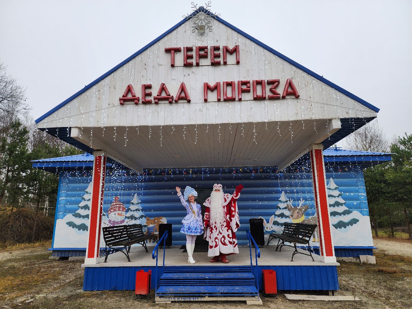 ногинск, елка, семьи участников сво, жители, дети, благоворительность, новый год,