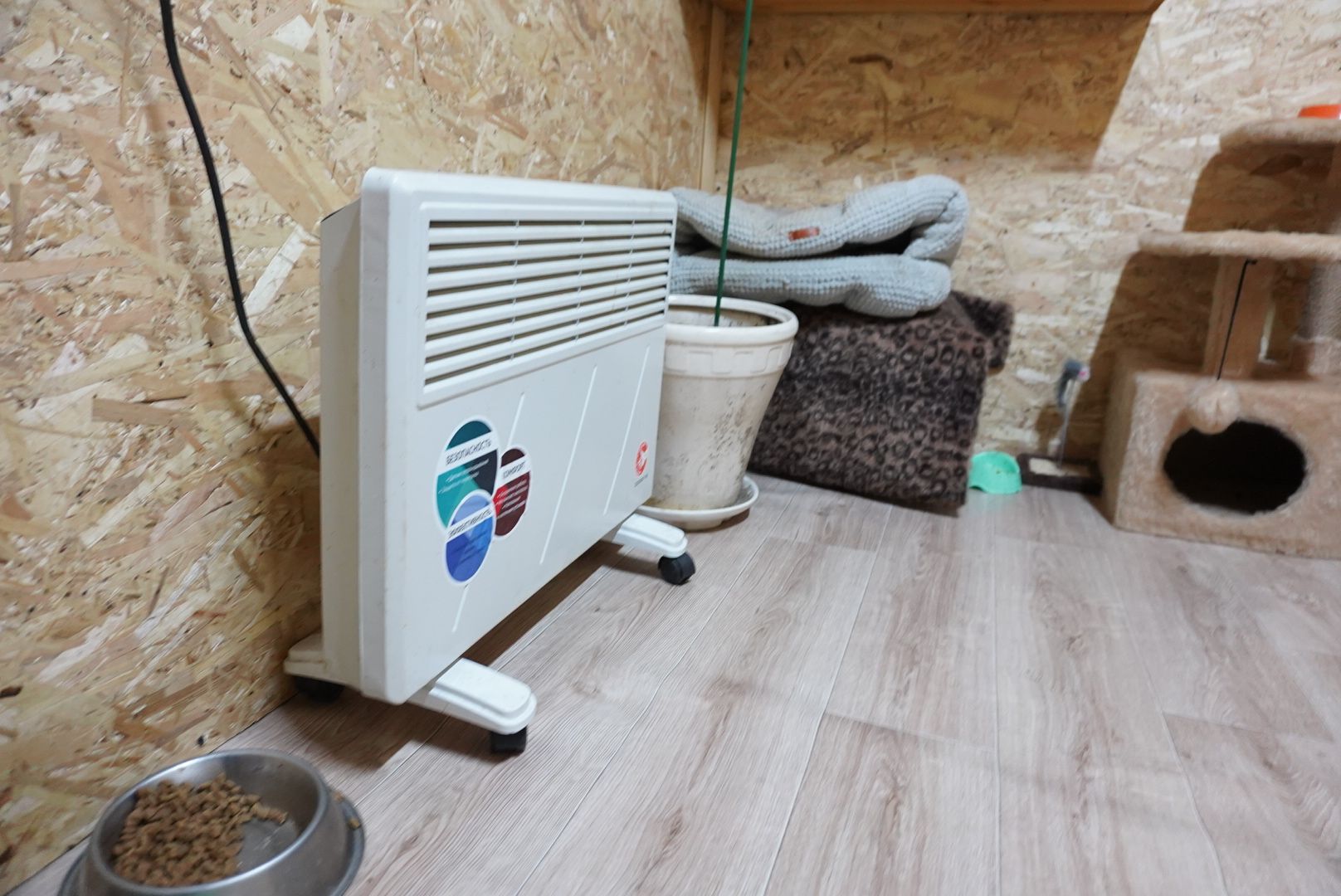 павловский посад, приют , собаки,