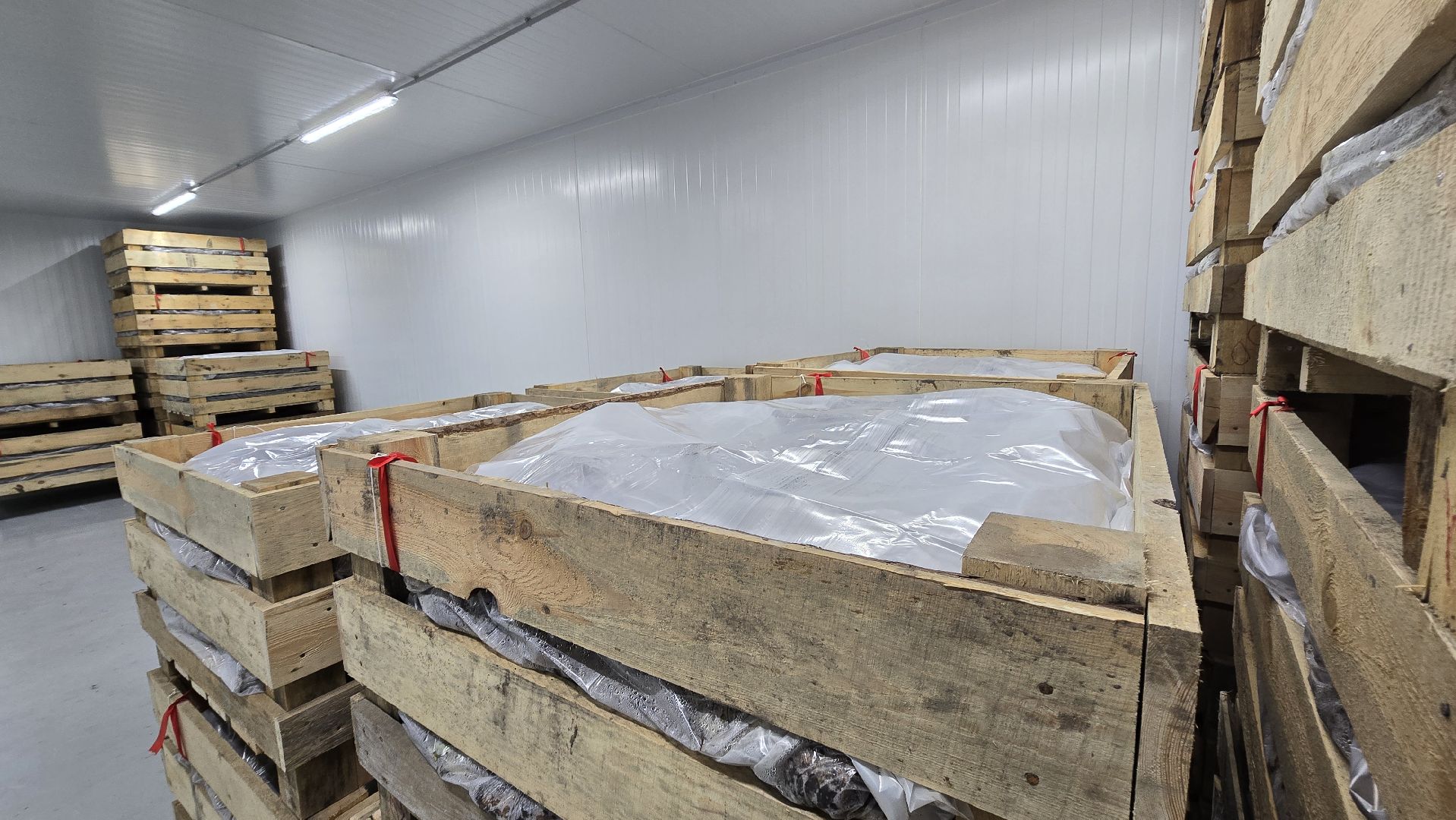 Коломна, Озеры, спаржа,кулинарный фестиваль,