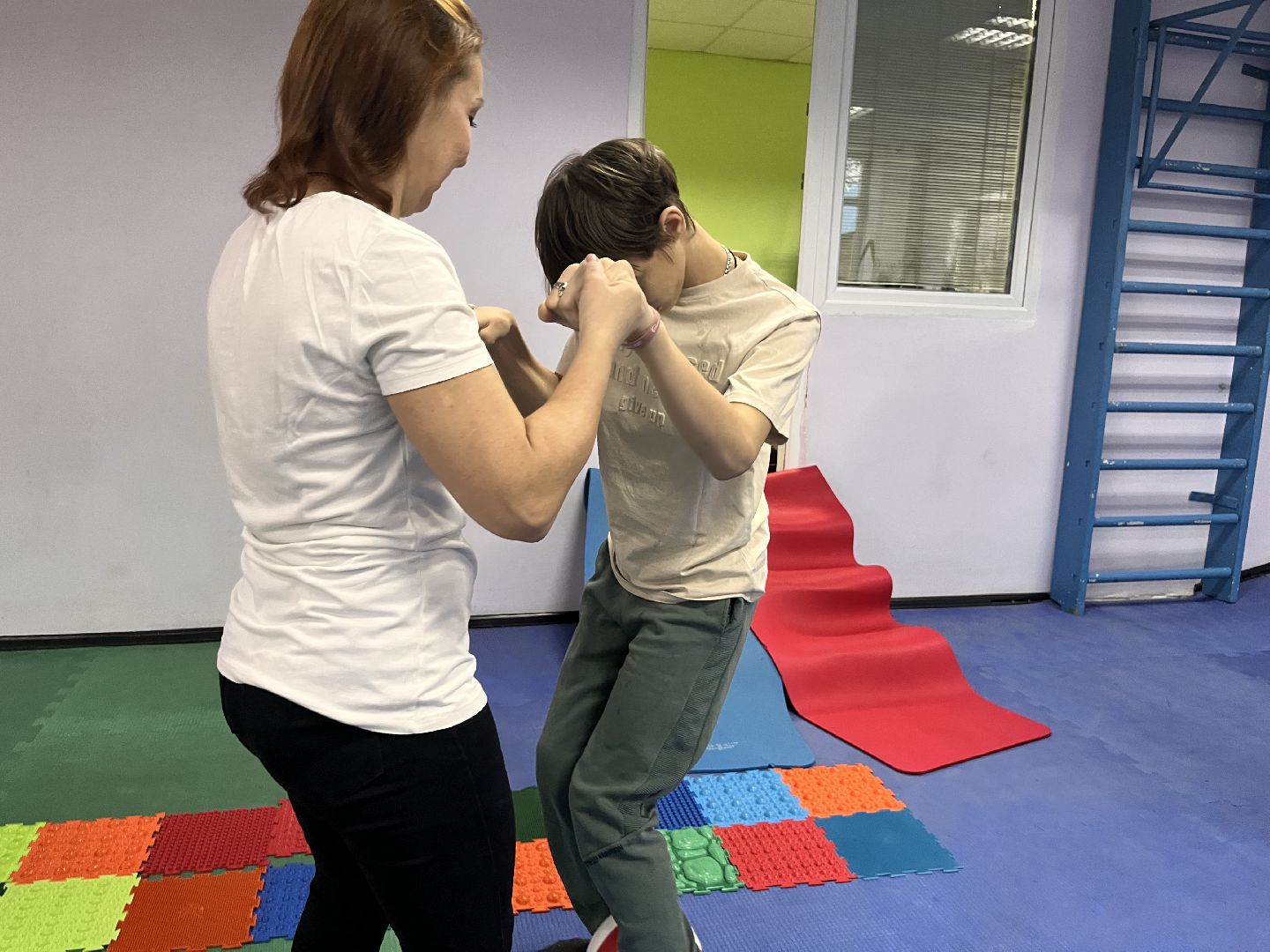 шатура, овз,