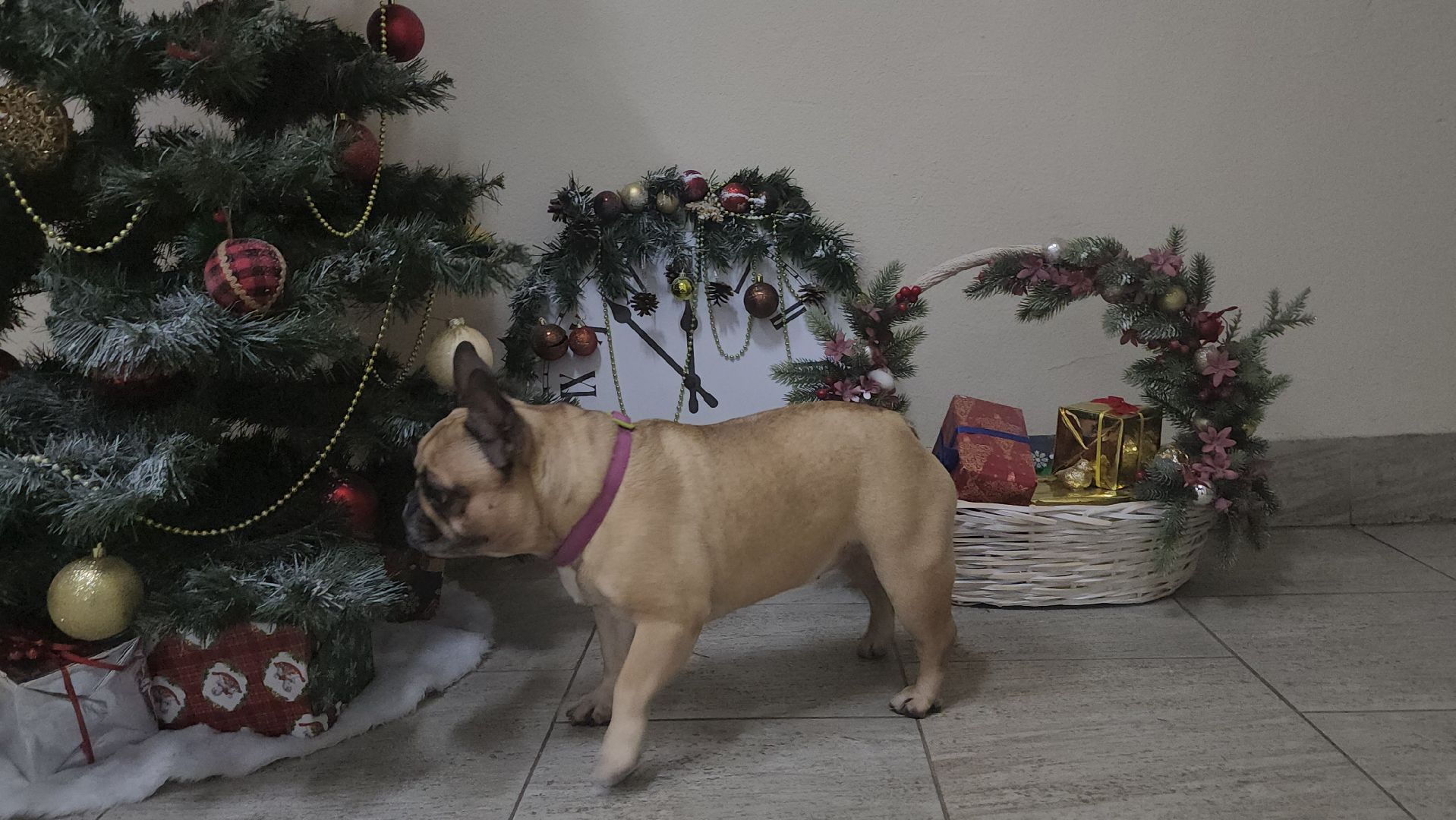 люберцы, ремонт подъезда, управляющая компания,