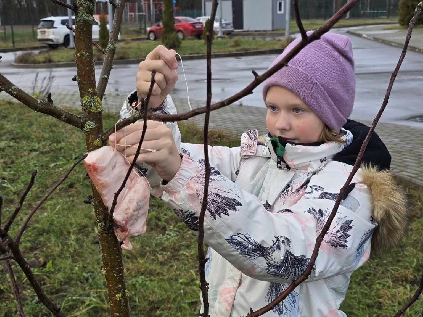 Можайские школьники узнали о жизни зимующих птиц и открыли для них «столовую»