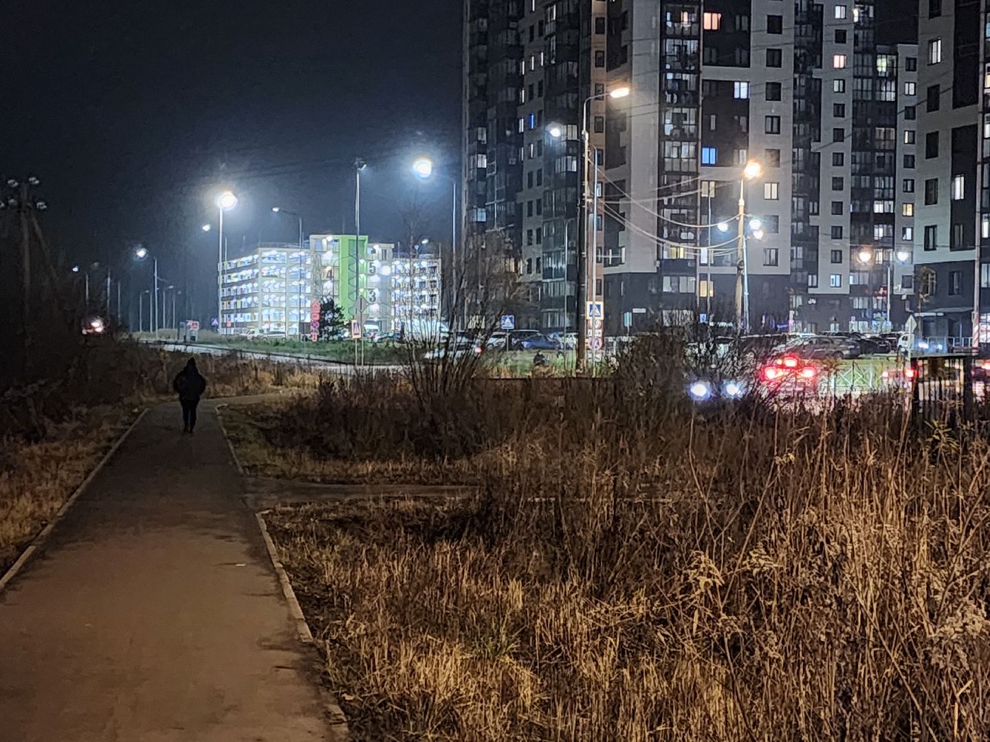 раменское, общество, выездная администрация, встреча с жителями в средней школе 35,