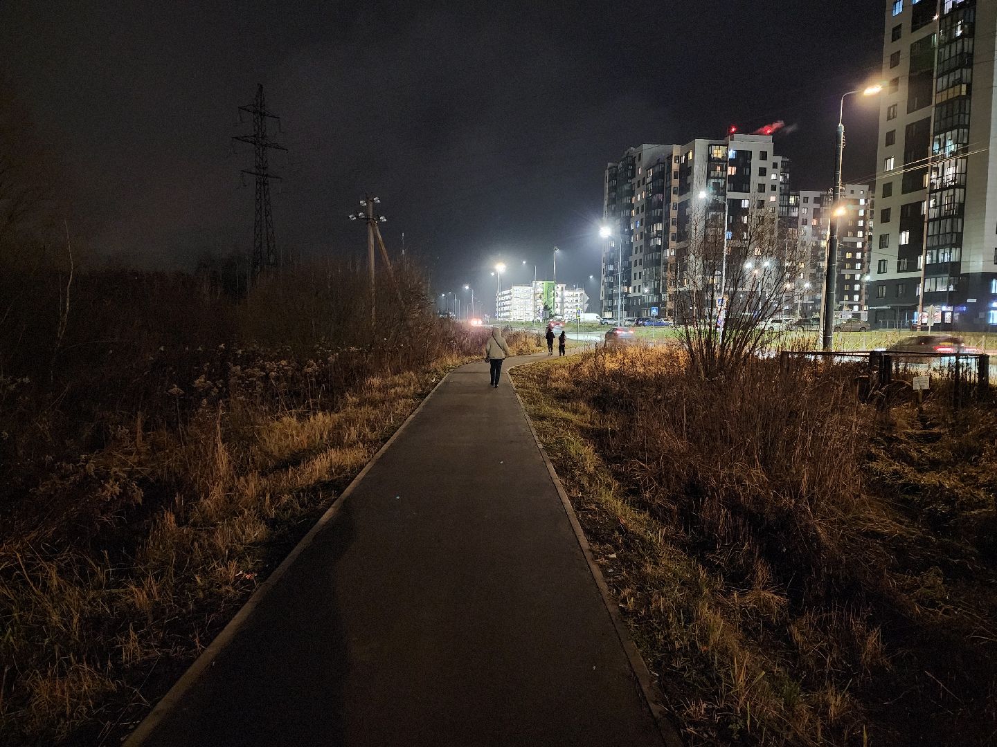 раменское, общество, выездная администрация, встреча с жителями в средней школе 35,