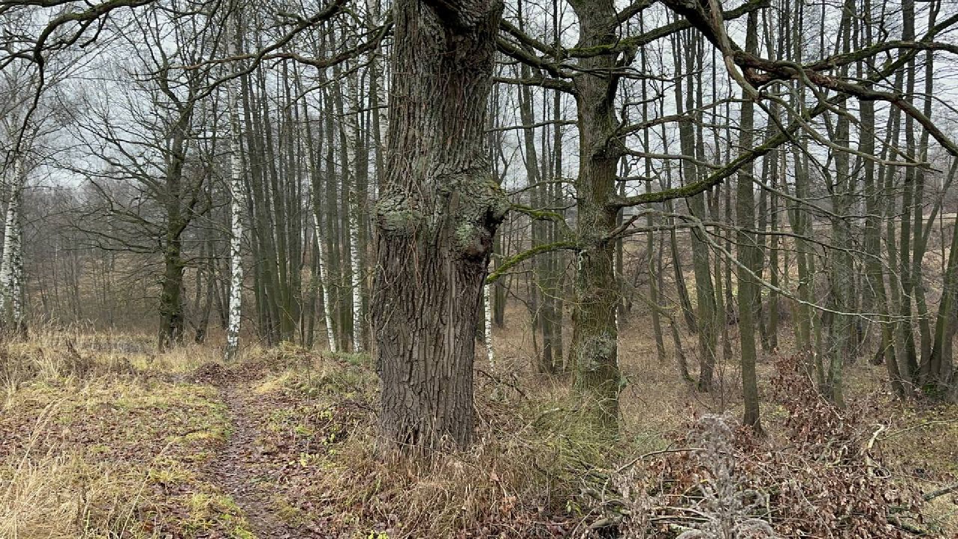 власть, выездная администрация, домодедово,