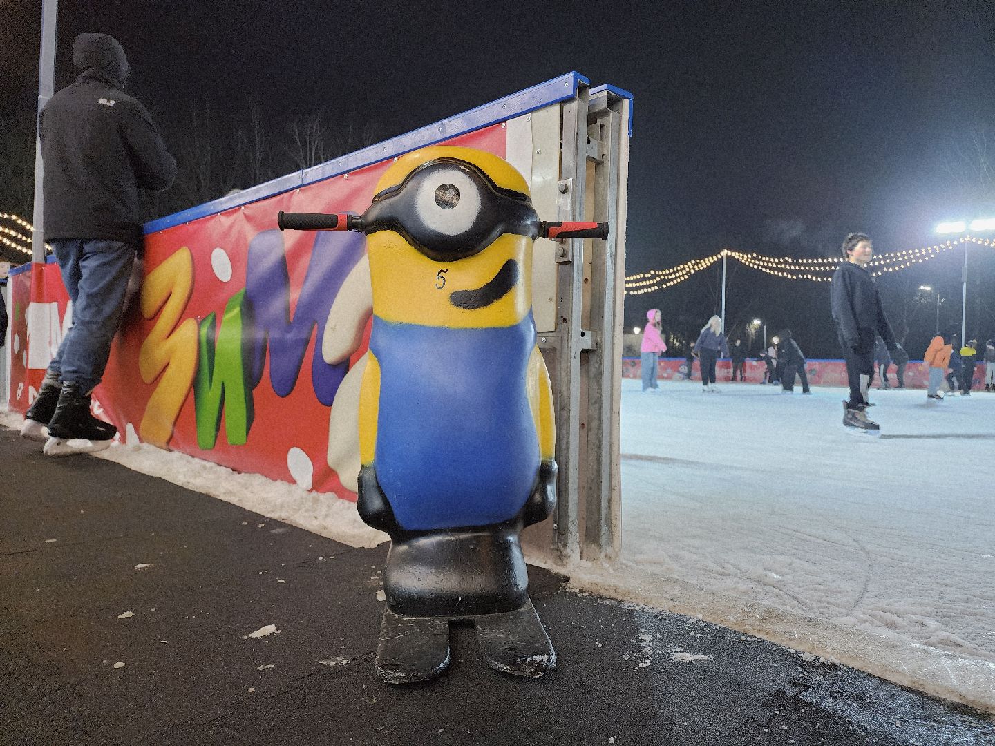 Егорьевск , Подмосковье , Каток, Московская область ,