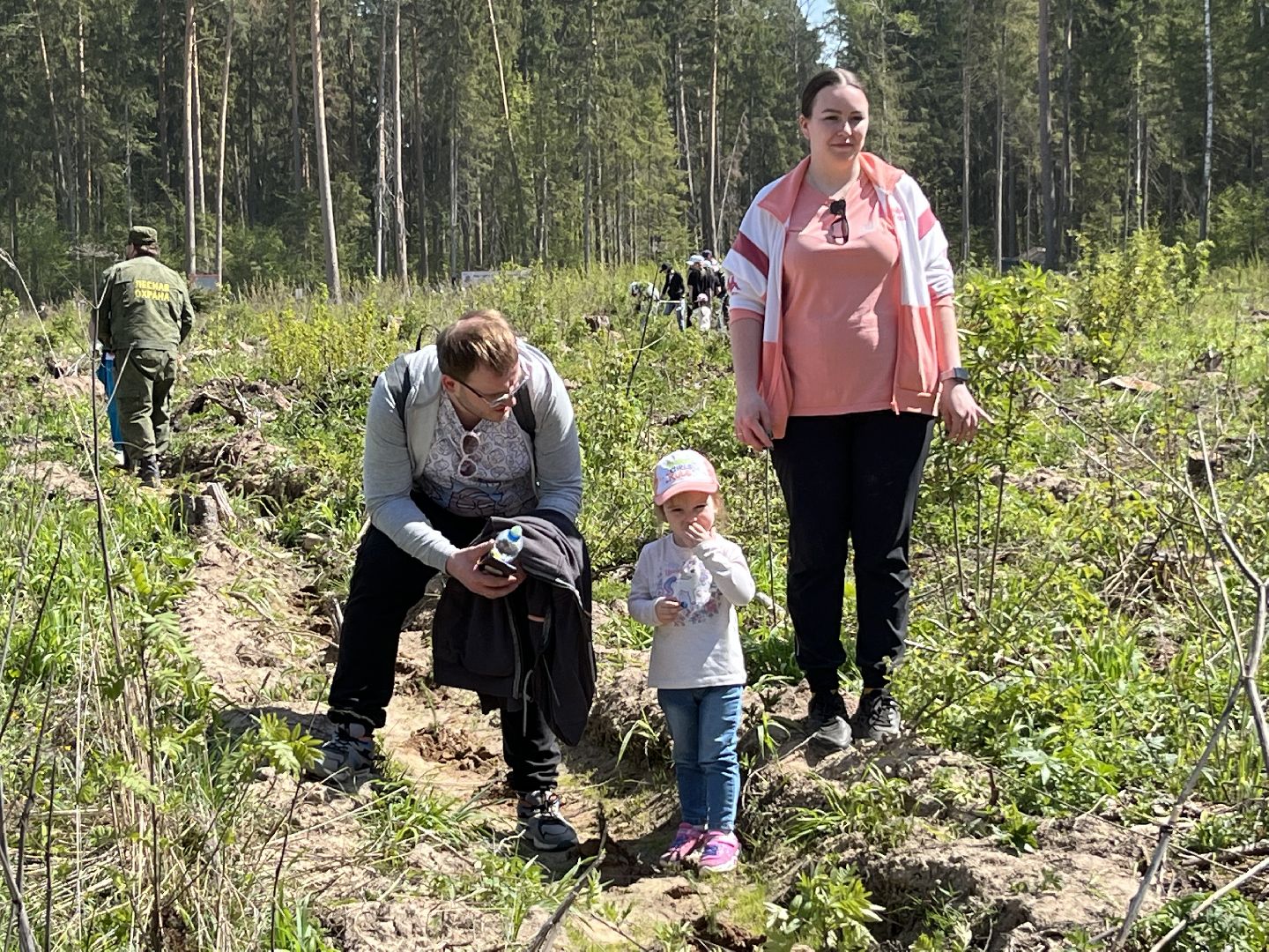 Лес Победы, Наро-Фоминский городской округ, ёлка, высадка деревьев, память