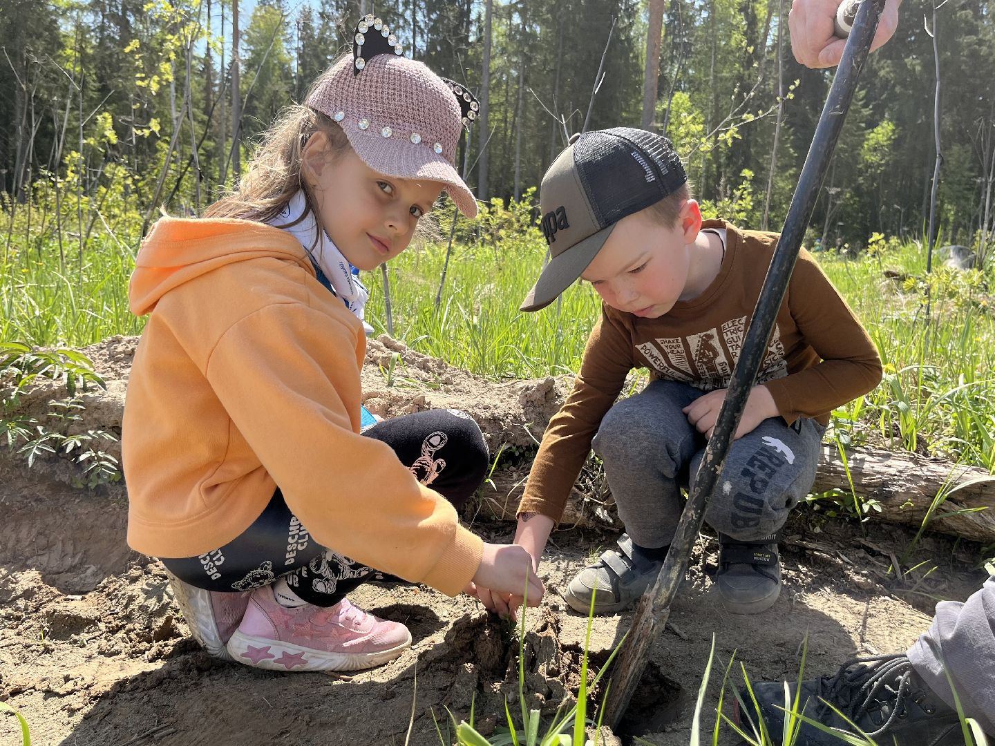 Лес Победы, Наро-Фоминский городской округ, ёлка, высадка деревьев, память