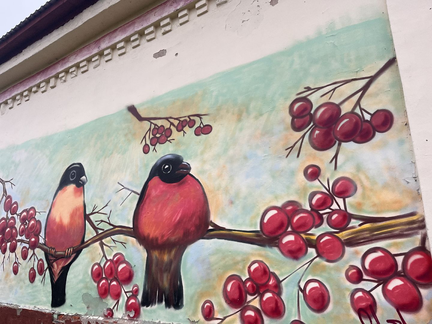 рошаль, шатура в лицах,