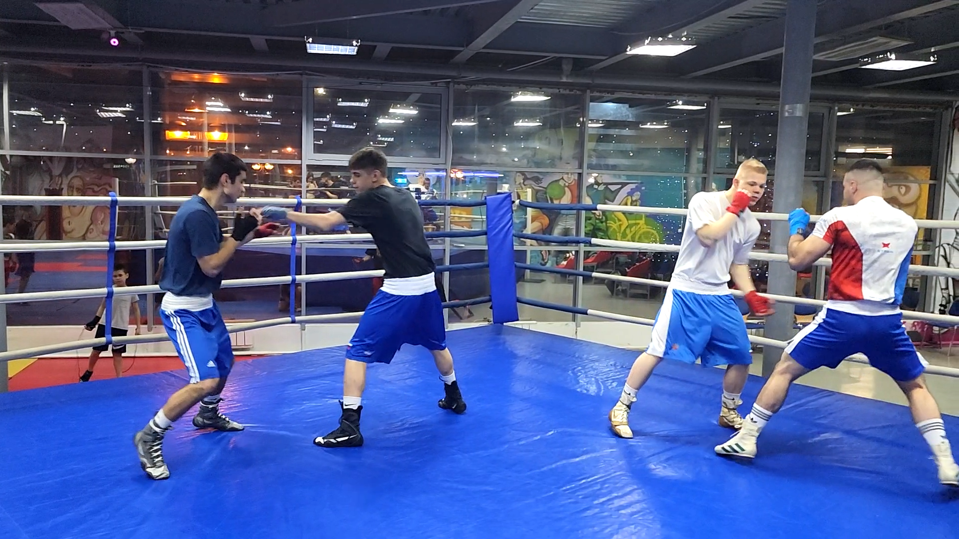 дубна, спорт, бокс, спортивный турнир,