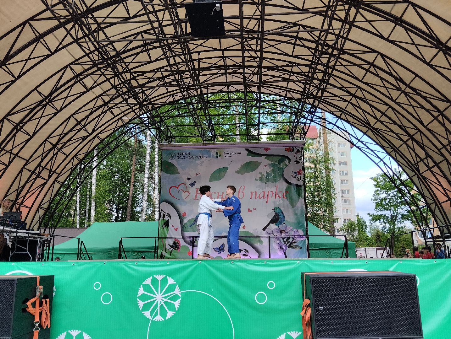 Фестиваль, Центральный парк, парк, Ногинск, Богородский городской округ