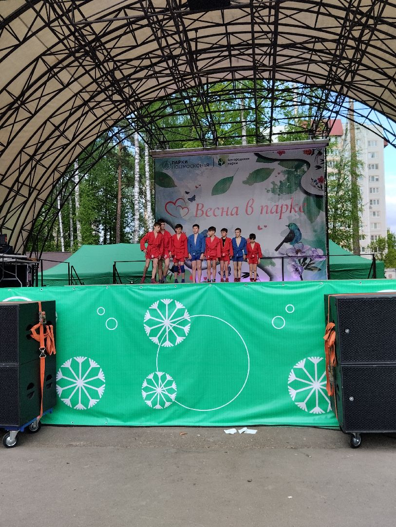 Фестиваль, Центральный парк, парк, Ногинск, Богородский городской округ