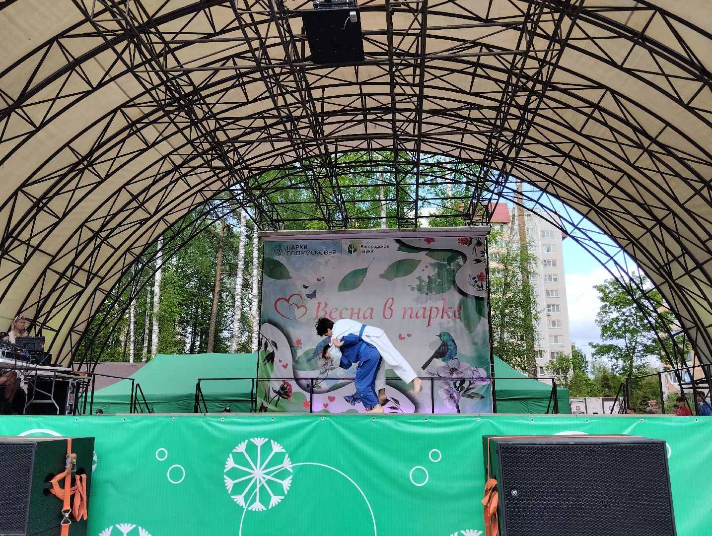 Фестиваль, Центральный парк, парк, Ногинск, Богородский городской округ