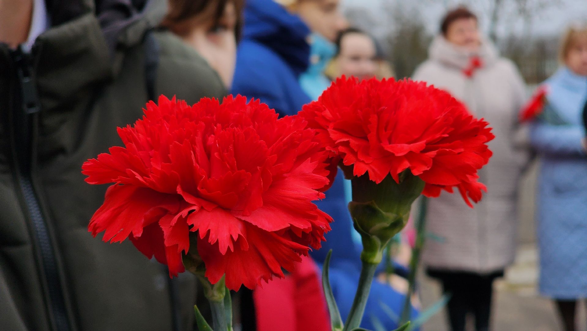Руза, Орешки, Мемемориальная доска,спецоперация на украине,