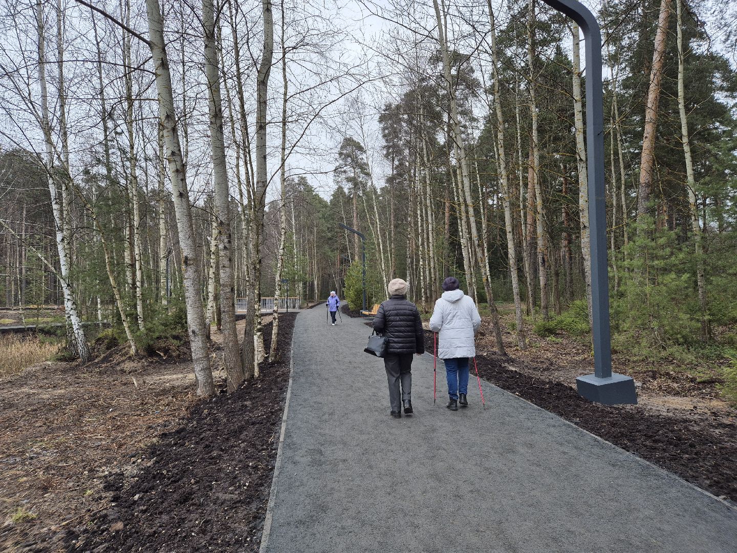 благоустройство парка, лесопарк стрелки, орехово-зуево,