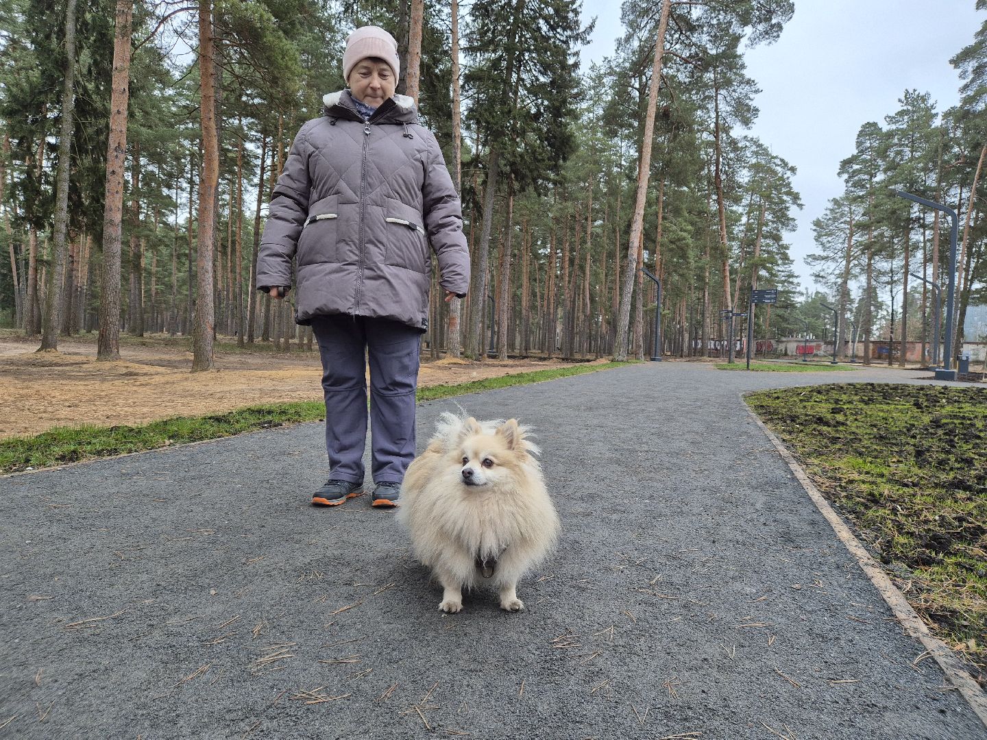 благоустройство парка, лесопарк стрелки, орехово-зуево,