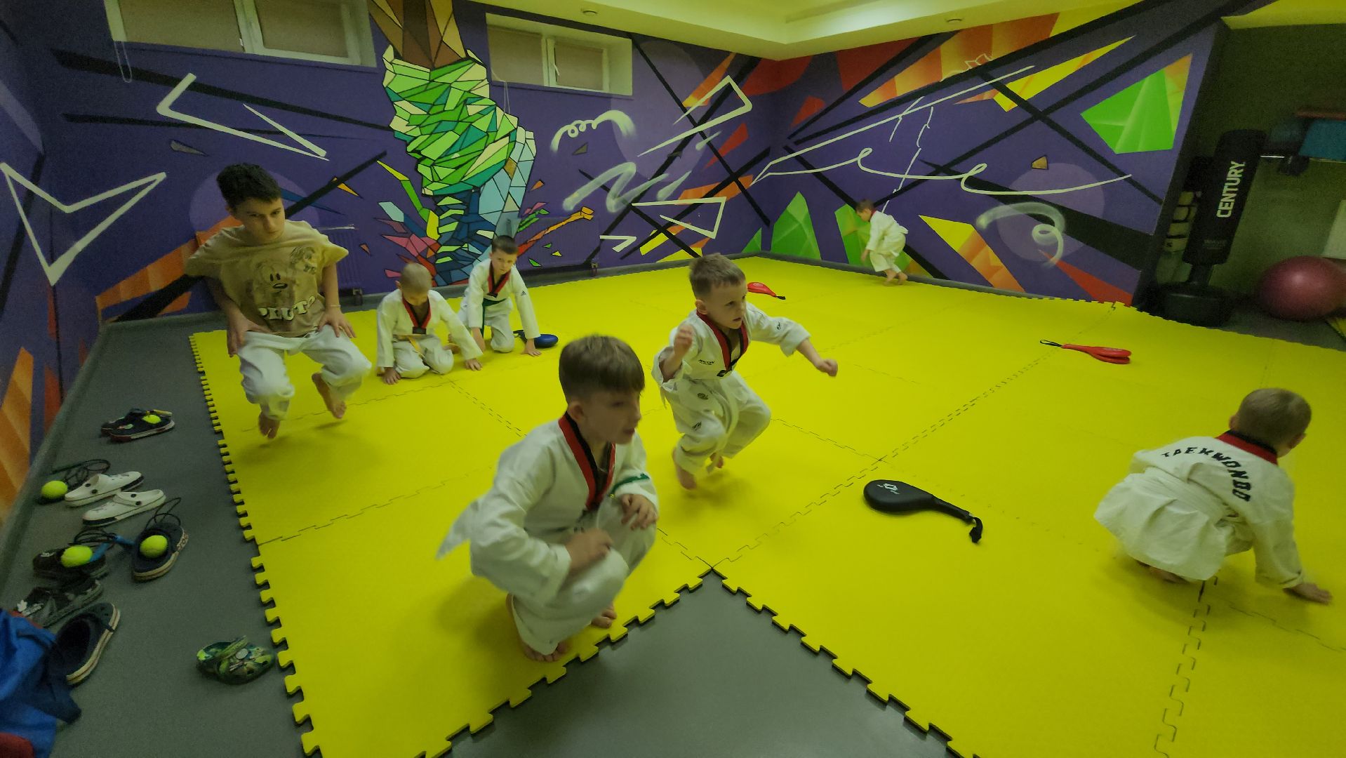 Истра, Спорт, Тхэквондо ,